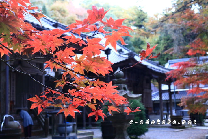 今高野山