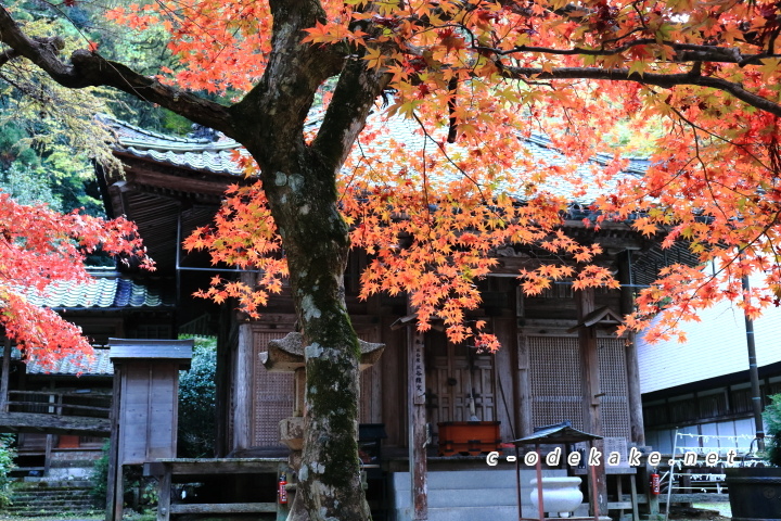 今高野山