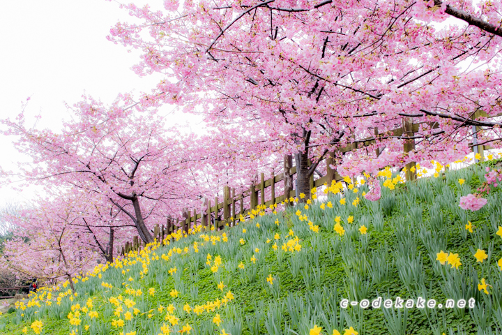 上関城山歴史公園