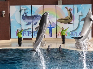 海響館