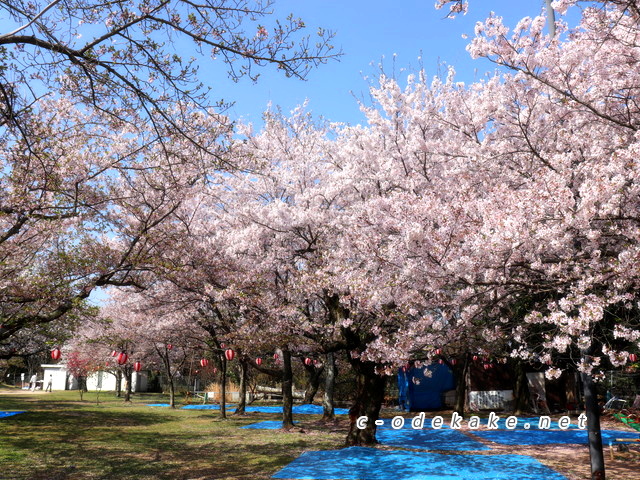 海老山公園