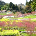 桃源郷川角(天国に一番近い里)