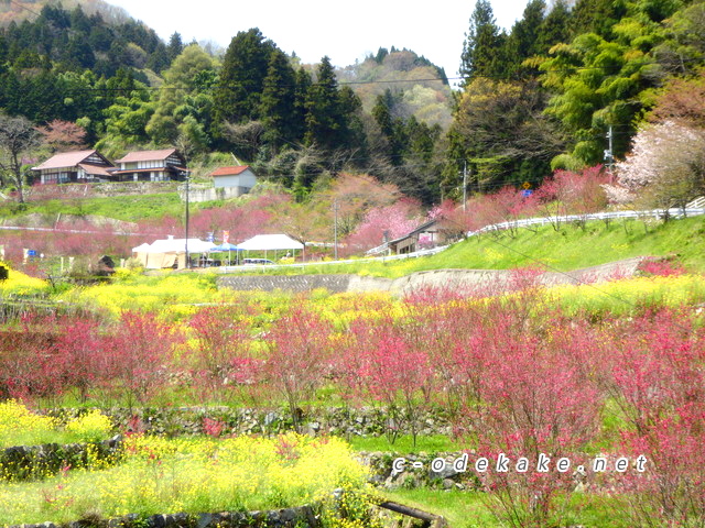 桃源郷川角(天国に一番近い里)