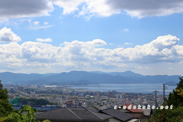 広島あじさいの名所 佐伯区の観音寺で大輪のあじさいを観賞する 最盛期にはあじさい祭りも