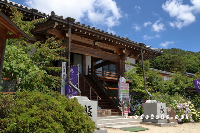広島あじさいの名所 佐伯区の観音寺で大輪のあじさいを観賞する 最盛期にはあじさい祭りも 広島あじさいの名所 佐伯区の観音寺で大輪のあじさいを観賞する 最盛期にはあじさい祭りも