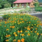 香木の森公園