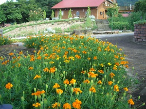 香木の森公園