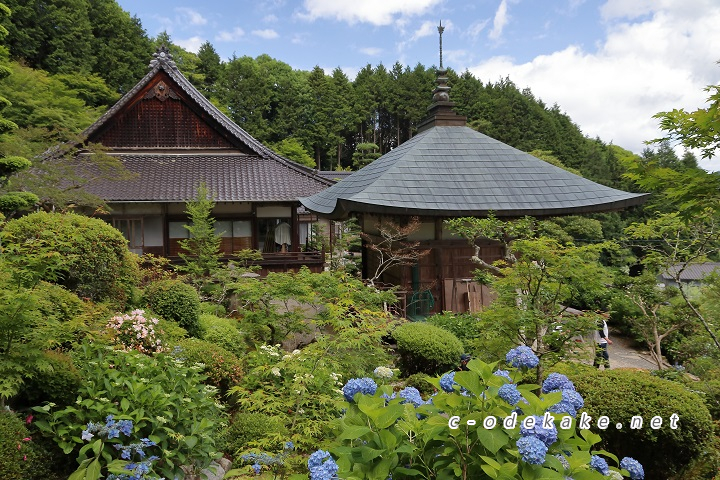 康徳寺-世羅のあじさい寺