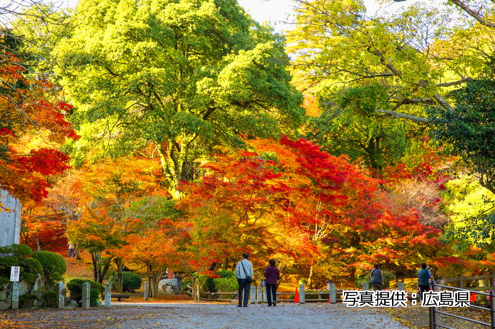 尾関山公園 中国地方おでかけしようねっと 尾関山公園は 三次市にある公園で 春は桜 秋は紅葉と年中を通じて季節を感じられる中国地方でも屈指の花どころです 歴史的にも由緒ある場所で 江戸時代の大名である 浅野長
