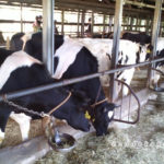 久保アグリファーム