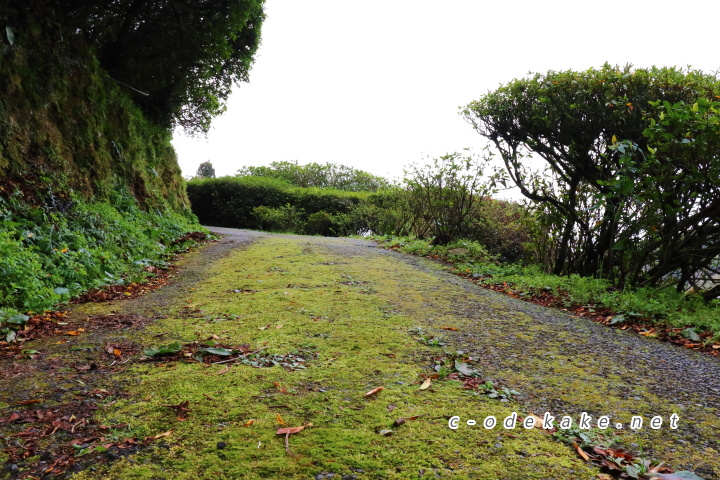 三隅梅林公園の入り口への坂道