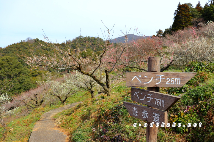 三隅梅林公園の案内看板