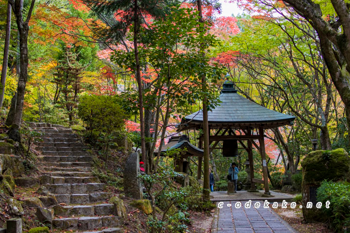 三瀧寺