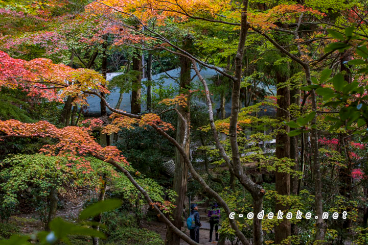 三滝寺