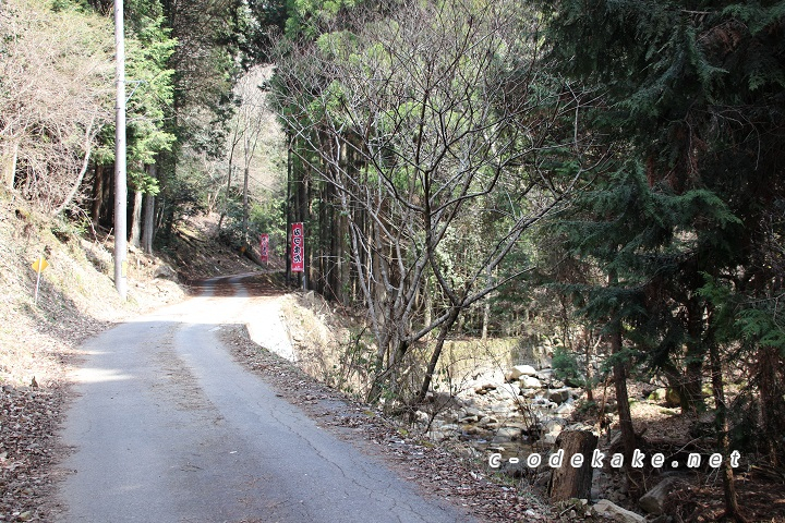 ミツマタ群生地に至る山道