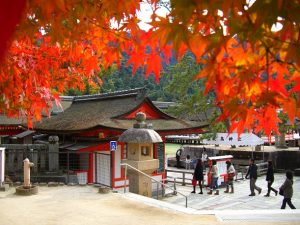 miyajima-kouyou01