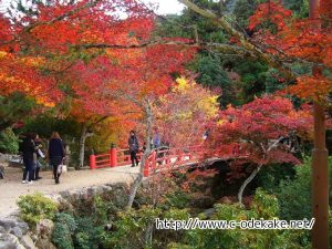 miyajima-kouyou03