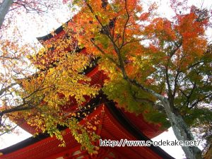 miyajima-kouyou04