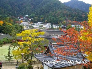 miyajima-kouyou05