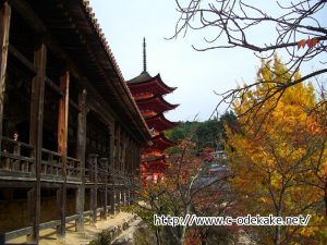 miyajima-kouyou06