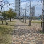 みずとりの浜公園