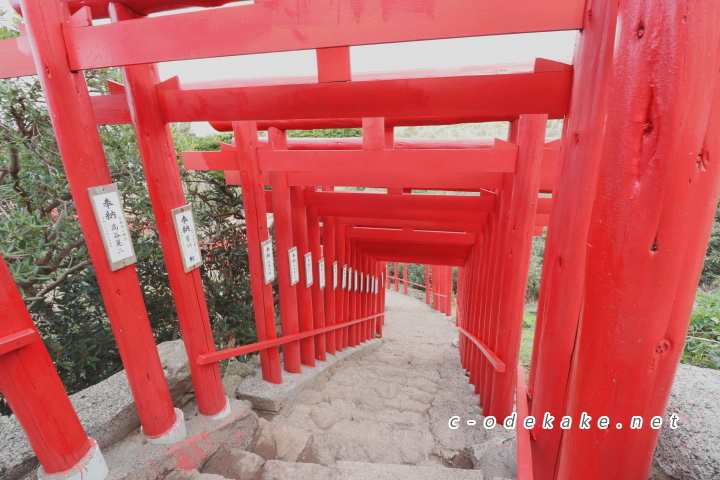 元乃隅神社の鳥居のある階段