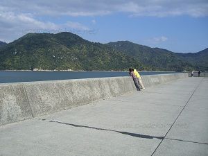 ii