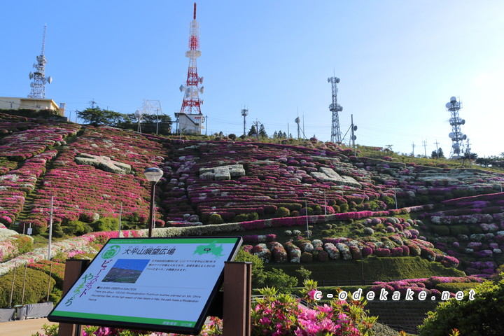 大平山山頂公園