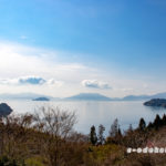 大芝島の河津桜