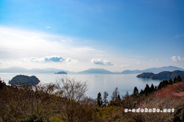 安芸津町に浮かぶ大芝島でハート島のビューと河津桜を楽しむ