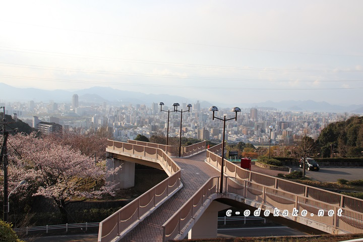 竜王公園（お花見編）