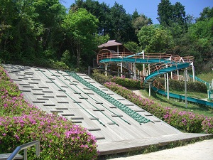 佐伯運動公園