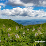 三瓶山全座縦走