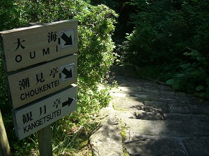ii