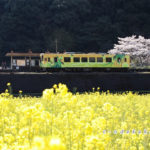 錦川清流線-南河内駅