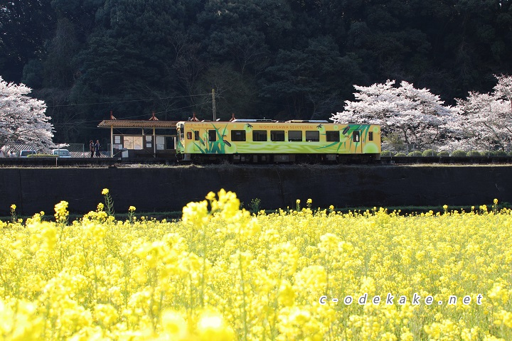 錦川清流線-南河内駅