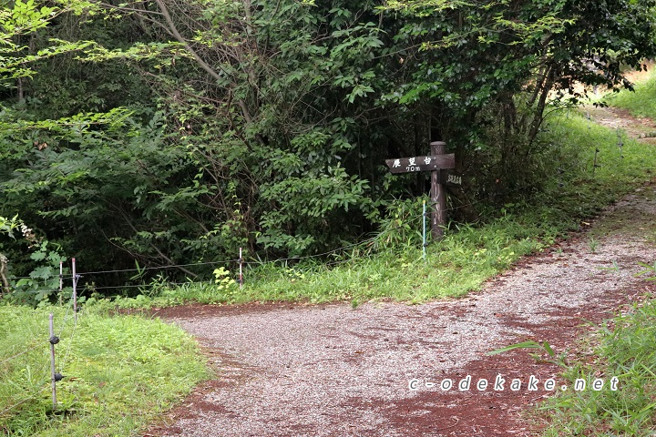 展望台から70メートル地点