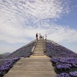 花の駅せら