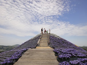 花の駅せら