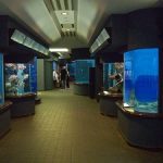 渋川マリン水族館