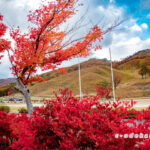 深入山-秋の山歩き-