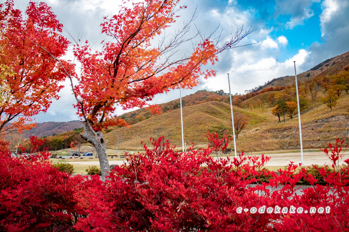 深入山-秋の山歩き-