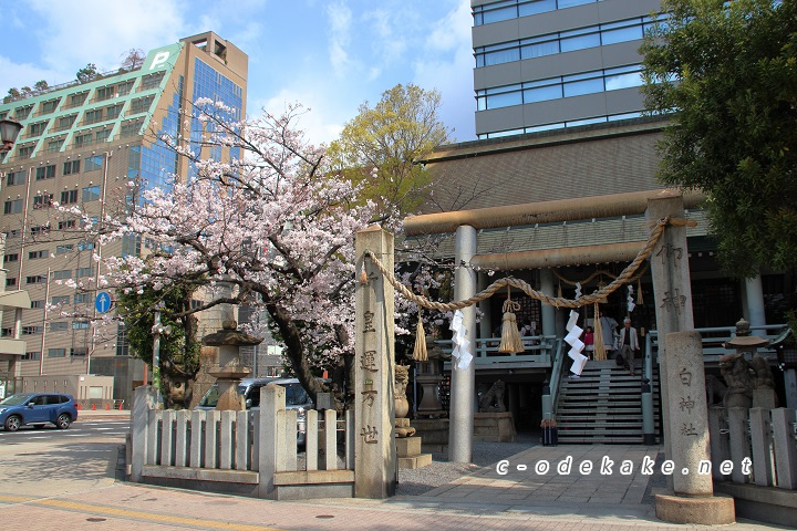 白神社