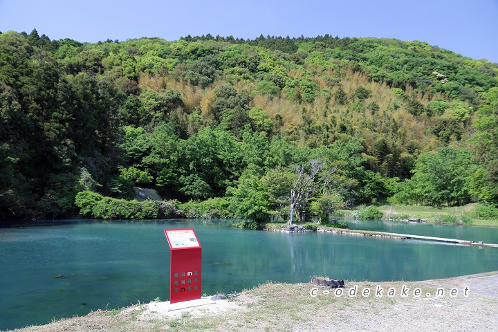 白水の池