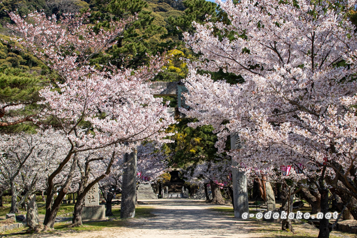 萩城跡指月公園