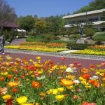 広島市植物公園