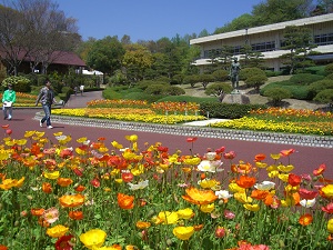 広島市植物公園