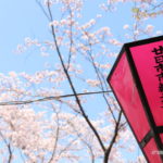 住吉堤防敷