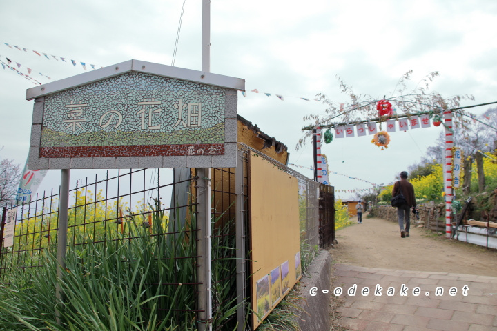 菜の花畑入口