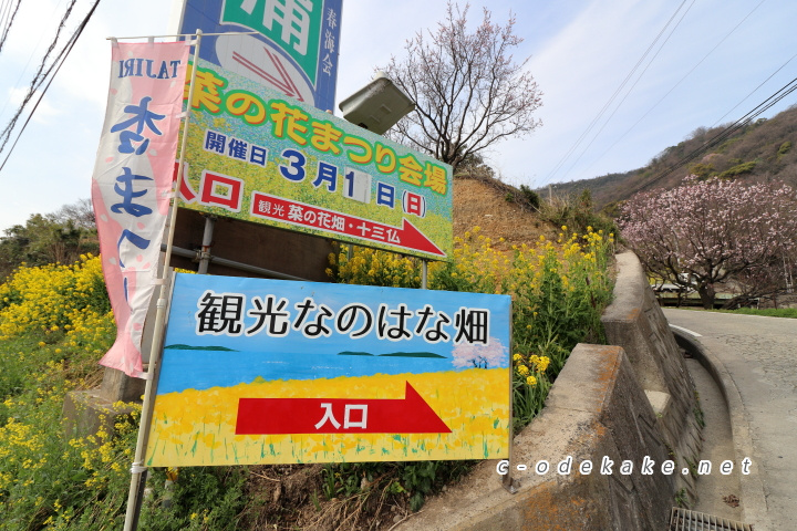 観光なのはな畑看板